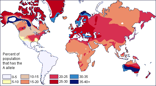 The global distribution of Blood Type A: the highest density is in Central and Eastern Europe.