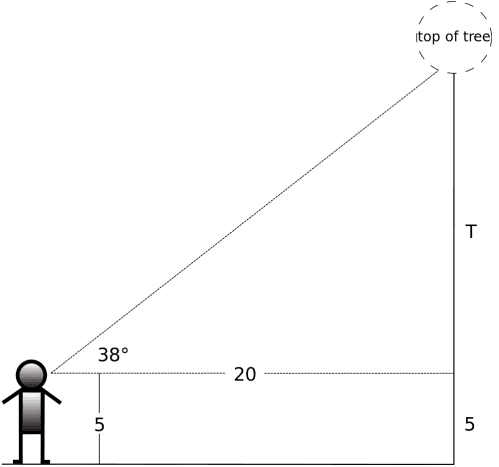 Diagram illustrating height determination using trigonometry.