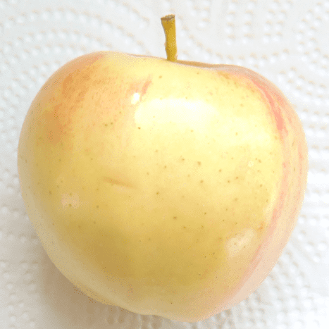 Almost anything can be used as a model: Here's an apple.