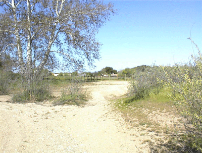 Dry bed of Salinas River in Summer
