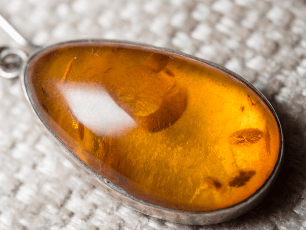 Amber is formed of fossilized tree sap. 
