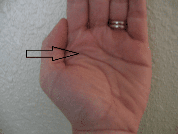 Take a look at your hand and find the second lateral line going across your palm.
