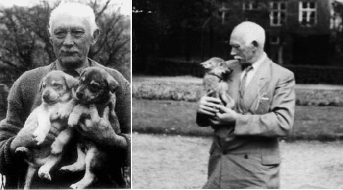 Leendert Saarloos (1884&ndash;1969), Creator of Saarloose Wolfdog