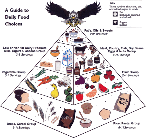 Native North American Food Pyramid