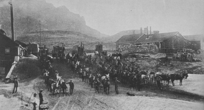 Ore wagons from the Silver King mine at the Pinal mills, circa 1885