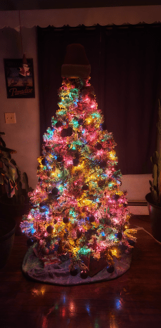 This is what my tree looked like all set up. 