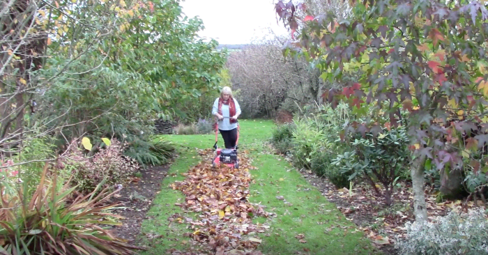 Using a lawnmower to chop up the leaves before bagging them will speed up the break-down process. 
