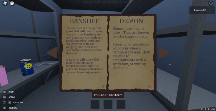 The banshee and demon pages of the journal.