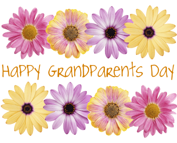 Free Happy Grandparents Day card and clip art with eight pink, purple and yellow daisies