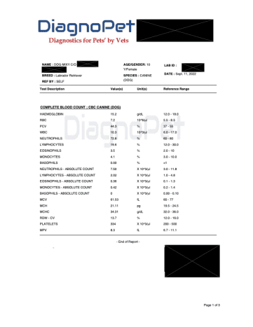 Complete Blood Count (CBC) Canine