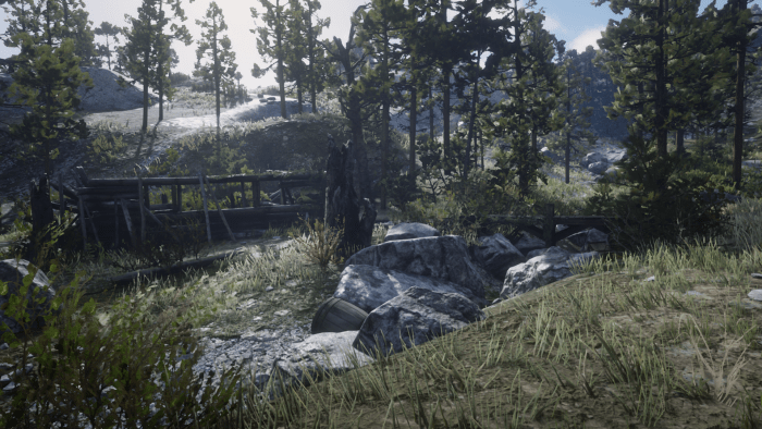 Red Dead Redemption 2 Survivalist Challenges Levelskip Video Games