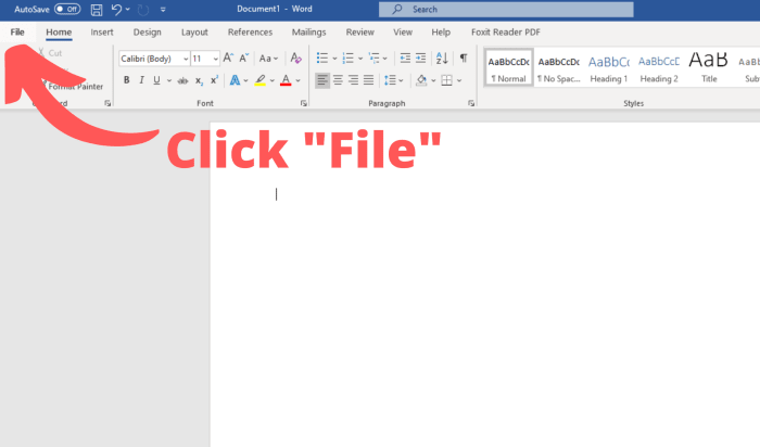 convert pdf to word 2010 docx free