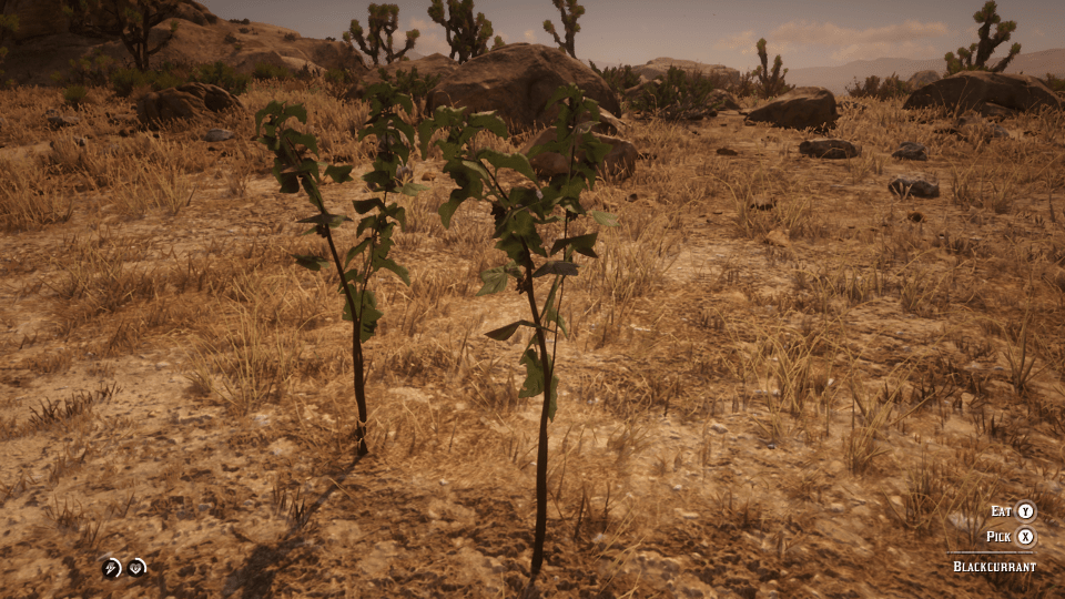 "Red Dead Redemption 2" Herbalist Challenges LevelSkip Video Games