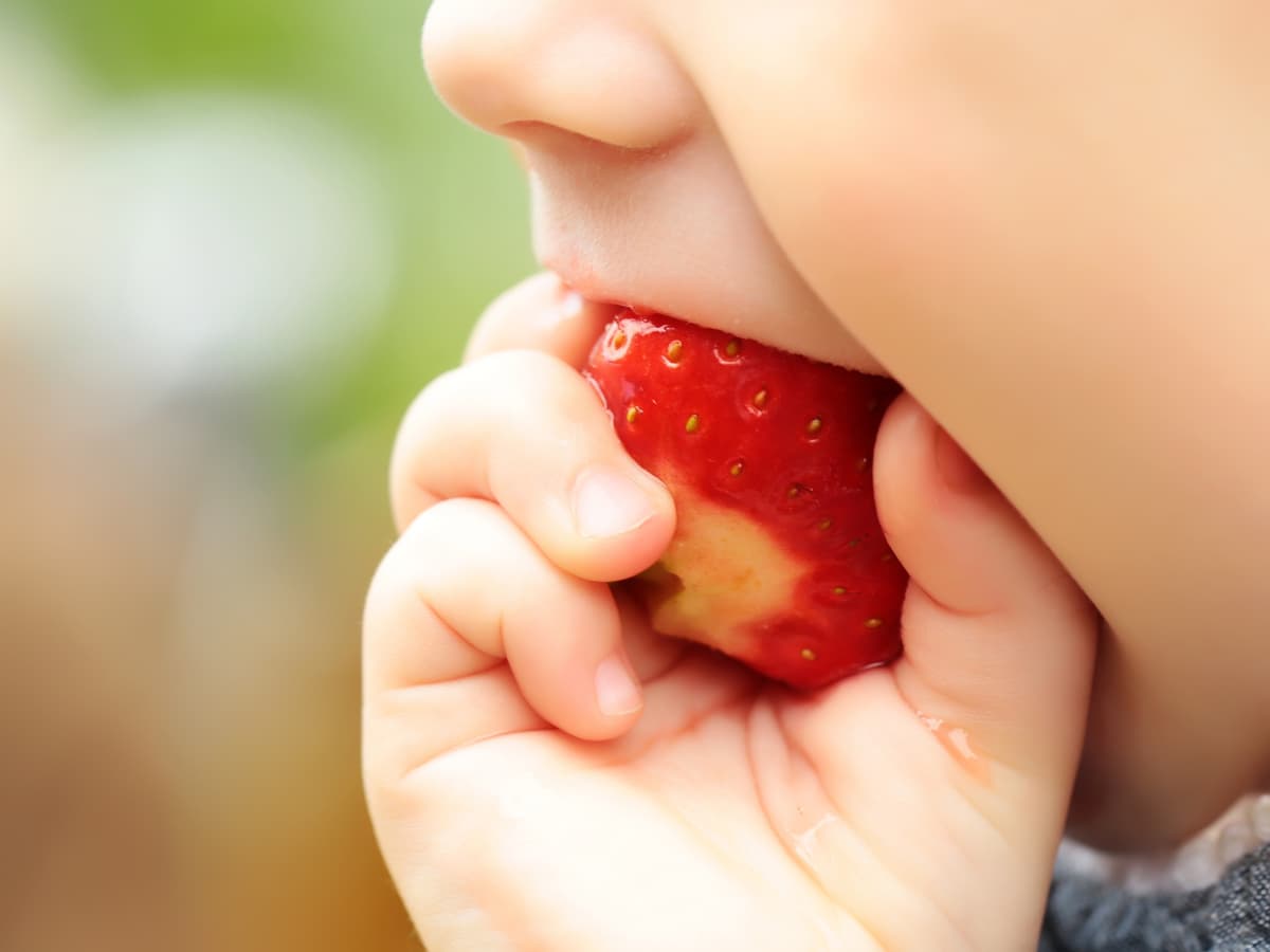 Strawberries for Babies - When Can Babies Eat Strawberries?