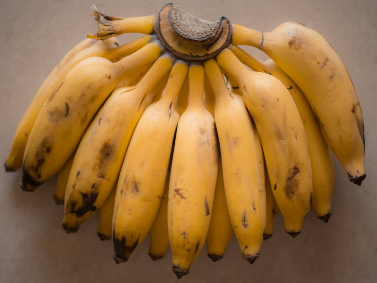 The Simple Trick That Keeps Bananas Fresh — Eat This Not That