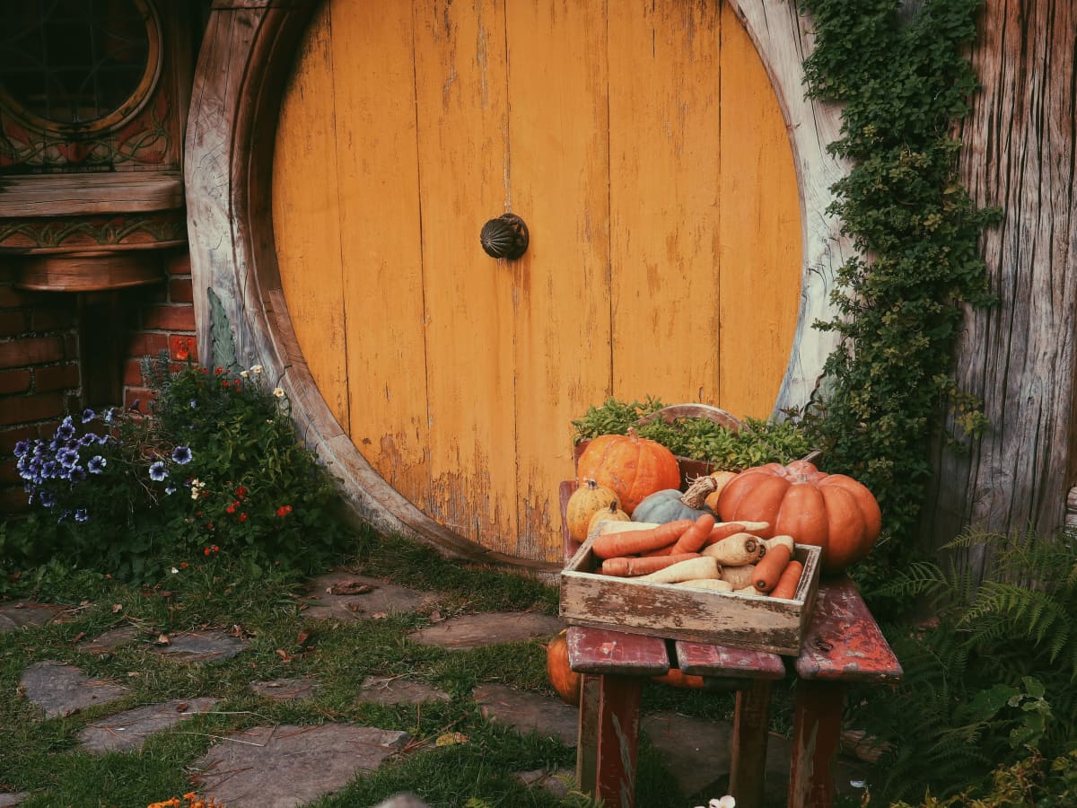 I Made a Mouse House! (& it's a hobbit hole hehe) 