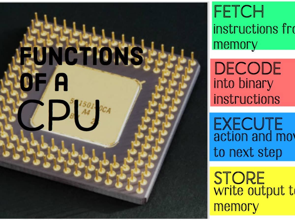 falsk Strengt Sund og rask What Are the Main Functions of a CPU? - TurboFuture