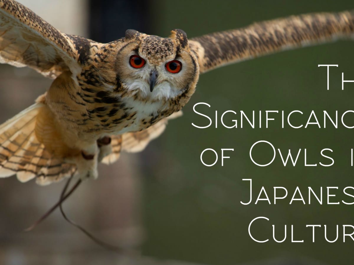 The Significance and Meaning of Owls in Japanese Culture - Owlcation