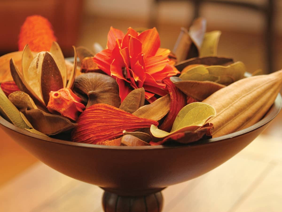 How to Make Homemade Potpourri in Your Dehydrator - FeltMagnet
