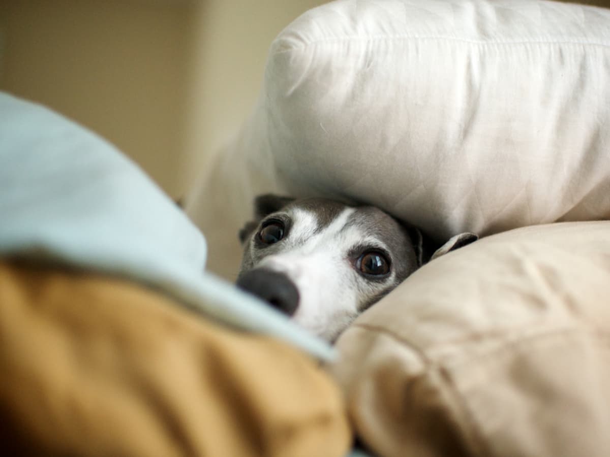 are you supposed to wash pillows