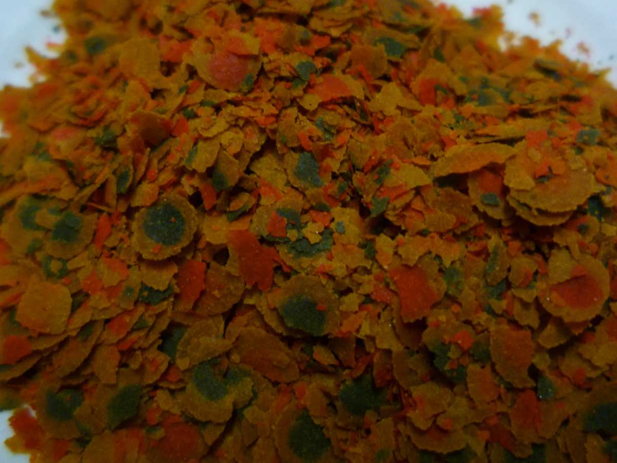 best cichlid pellets