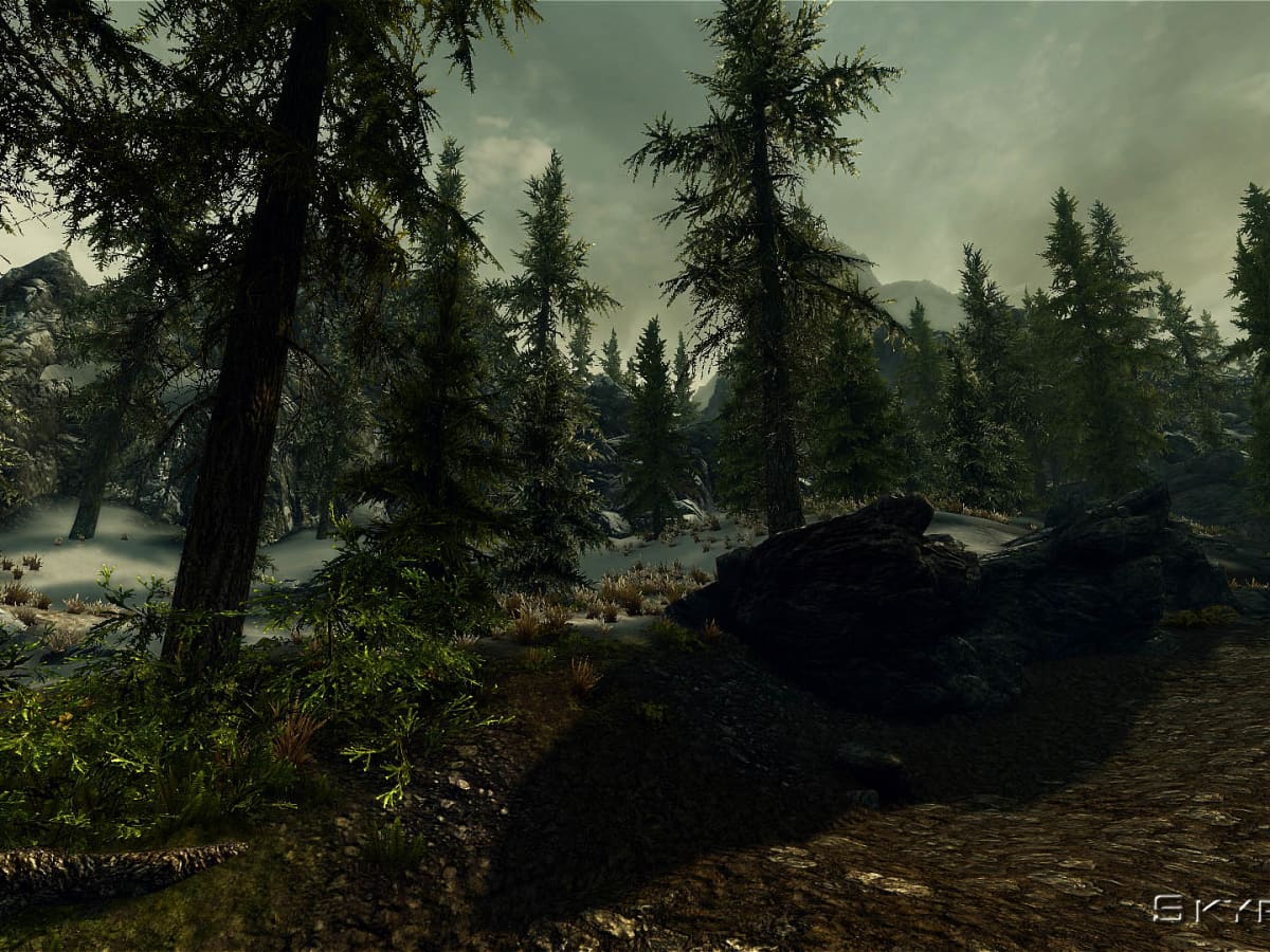 the forest mods nexus