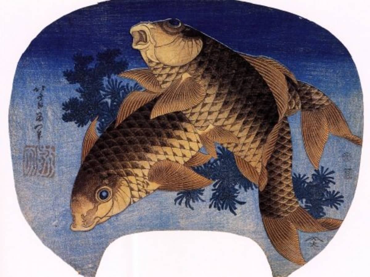 Koi fish original painting