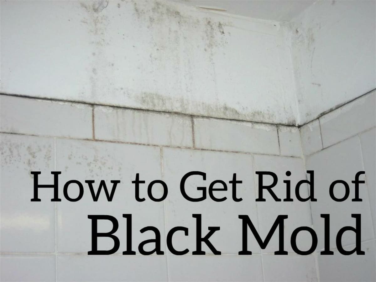 How To Get Rid Of Black Mold The Easy, Is The Mold In My Bathroom Making Me Sick