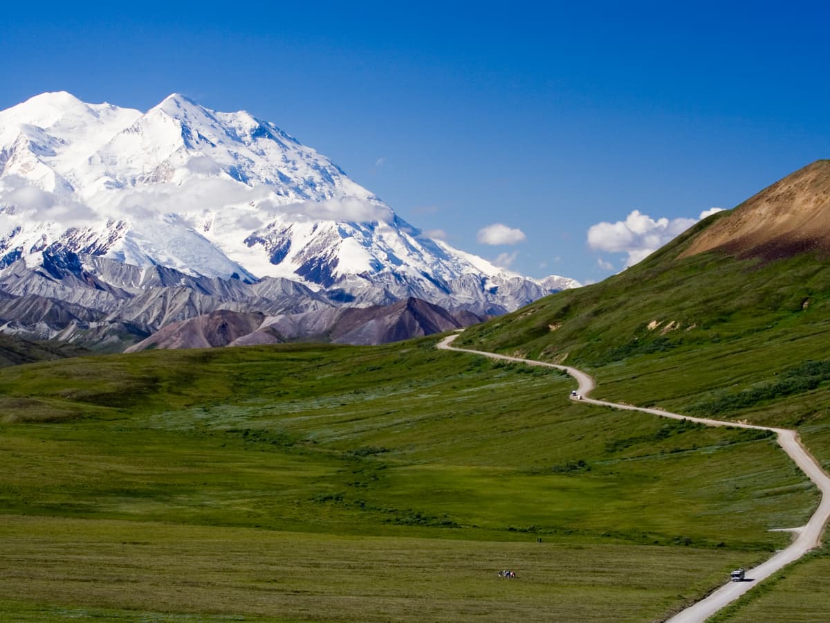 The 7 Best Things to Do in Denali National Park, Alaska