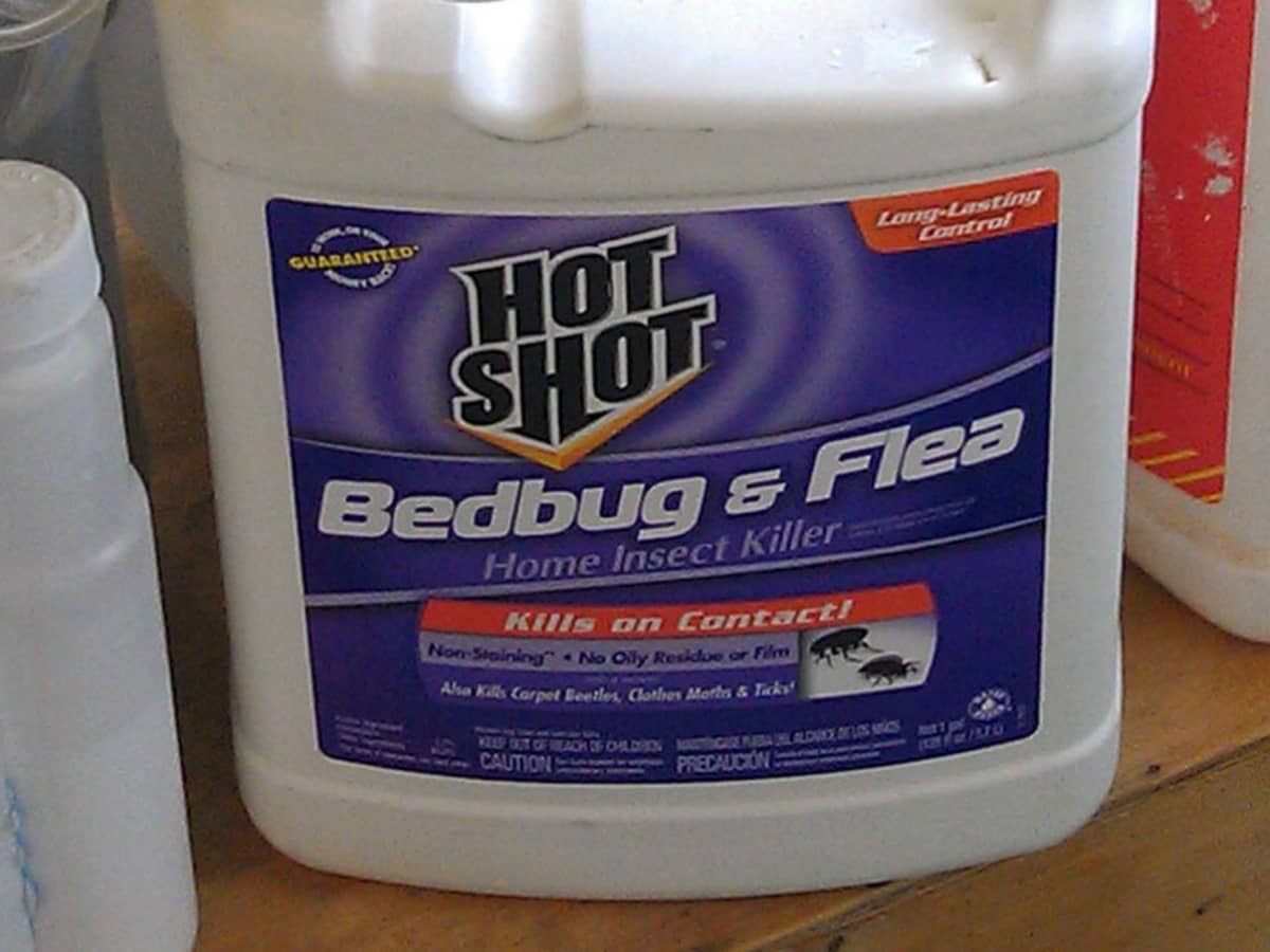 Insect Repellent The Best Flea Sprays of 2022 - Top Hot Shot 2-oz Bed Bug K...
