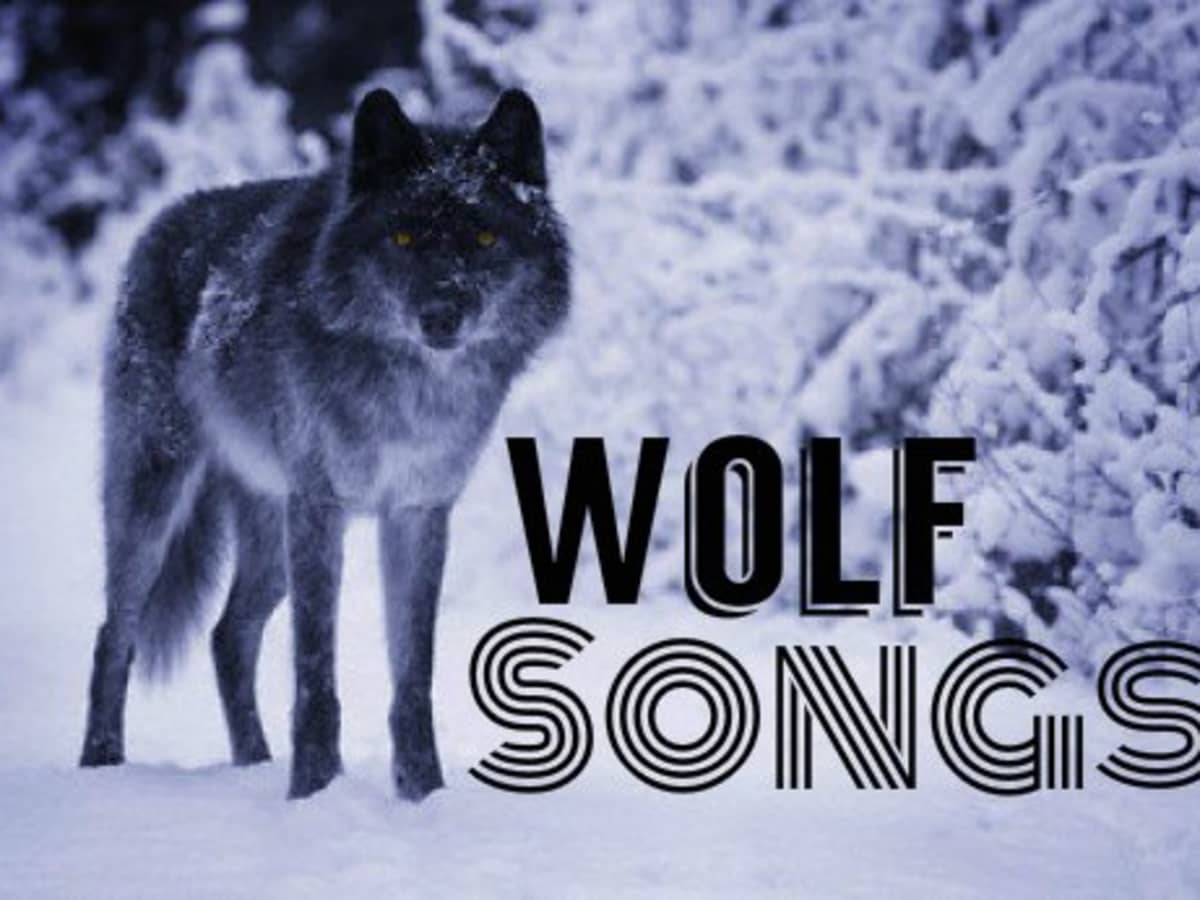 windows sound schemes wolf