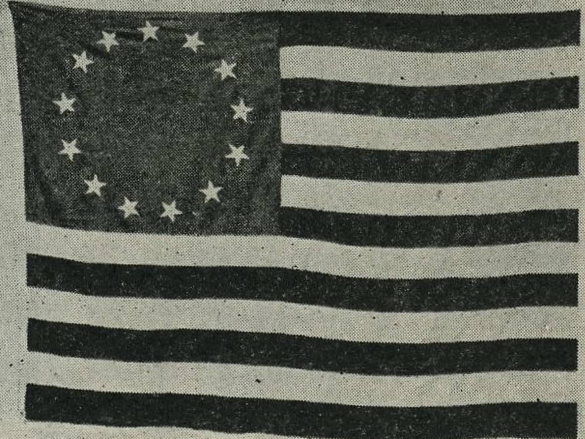 Black American Flag: History, Meaning, and Symbolism - A-Z Animals