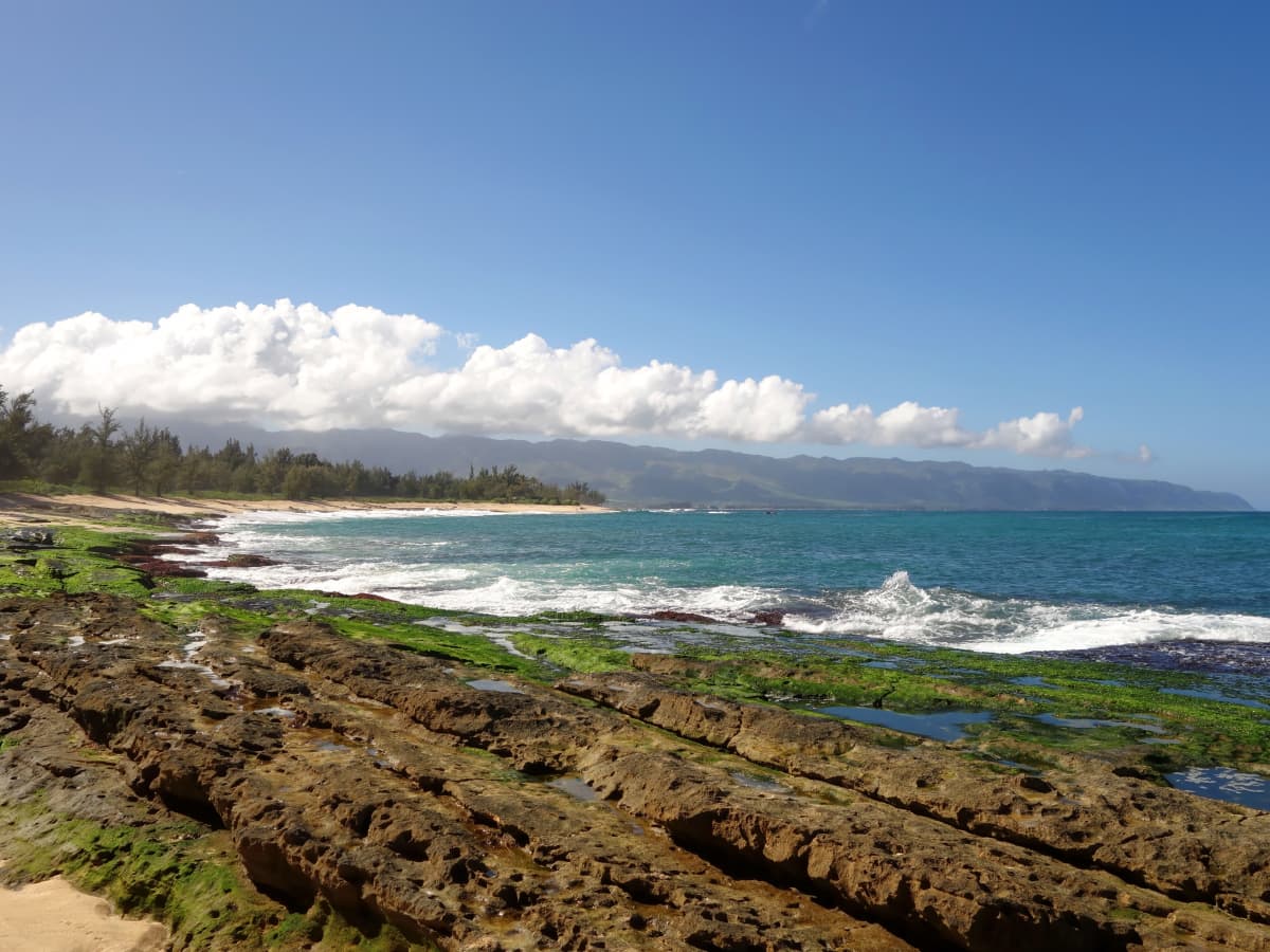 North Shore Oahu, Hawaii Things to Do  Where to beach, hike, and eat on North  Shore Oahu 
