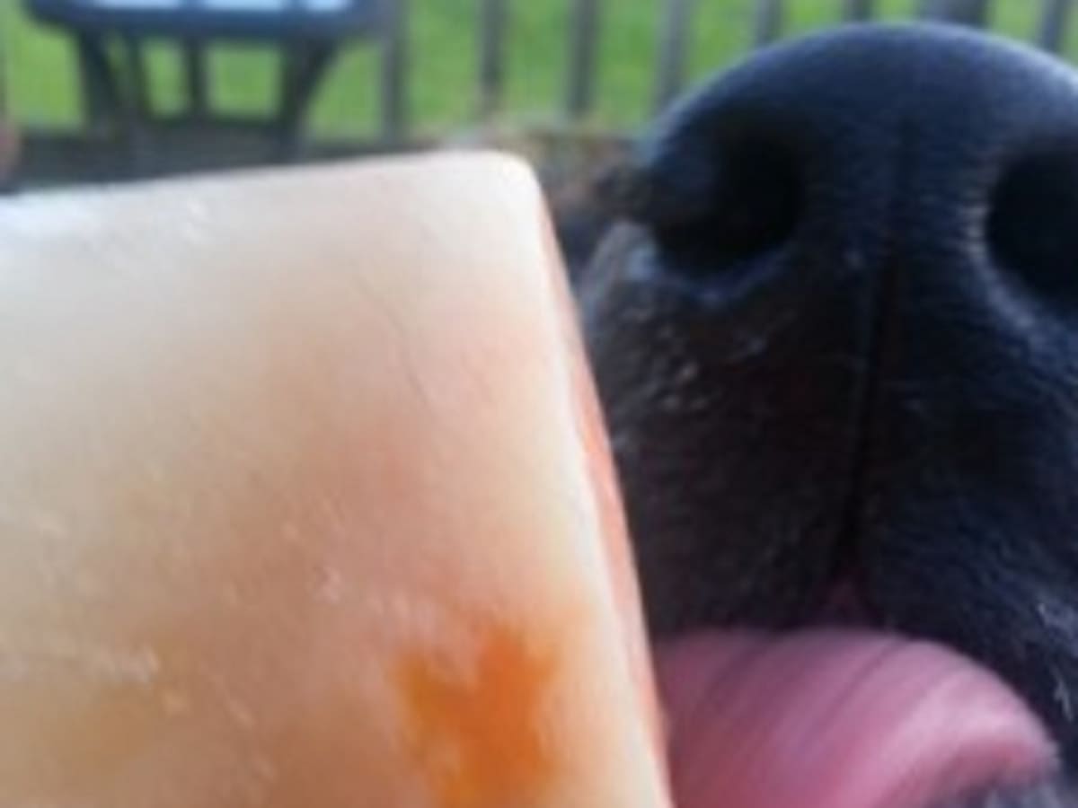 Herbal Doggie Popsicle Recipes