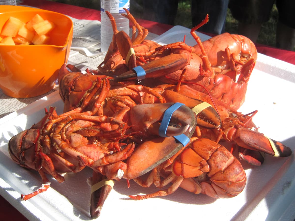 How To Host A Live Lobster Party Cooking And Prep Tips Delishably