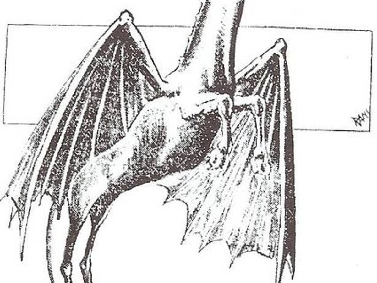 The legend of the Jersey Devil lives on in song, art and words, Archives