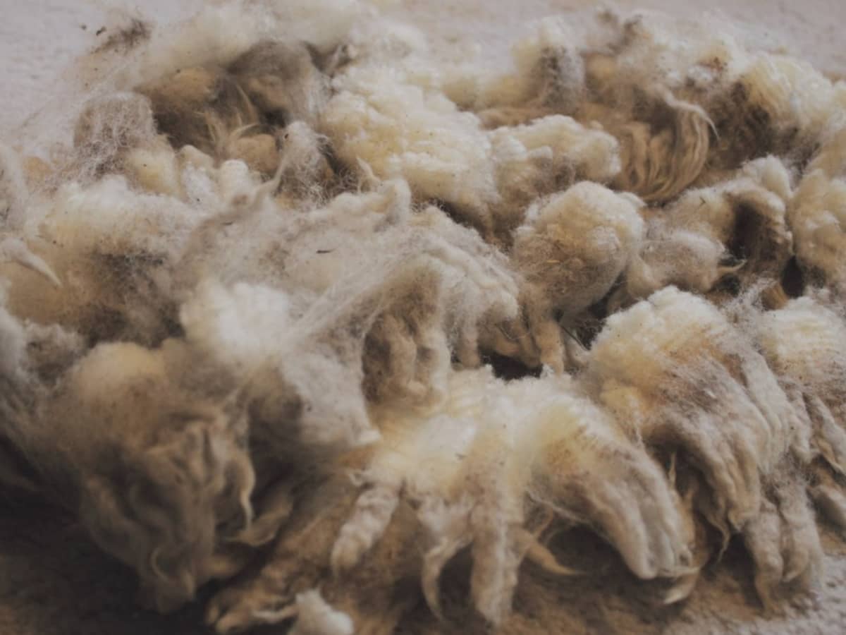 How to Clean Raw Wool for Crafts - FeltMagnet
