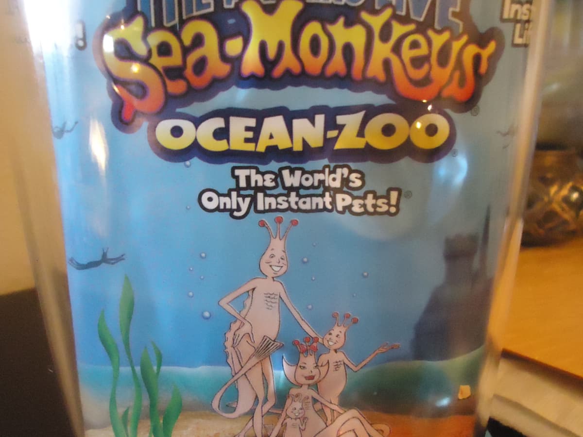 Aquarium Marine Sea Monkeys Live Oceans Monkey Tanks News Toys Aquarium neu 
