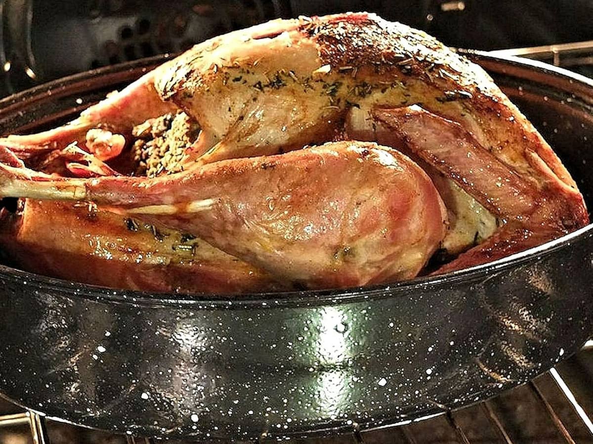 Roast Turkey, Holidays