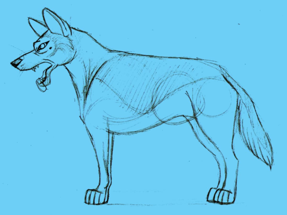 How to draw a dog step by step | Gathered - Gathered