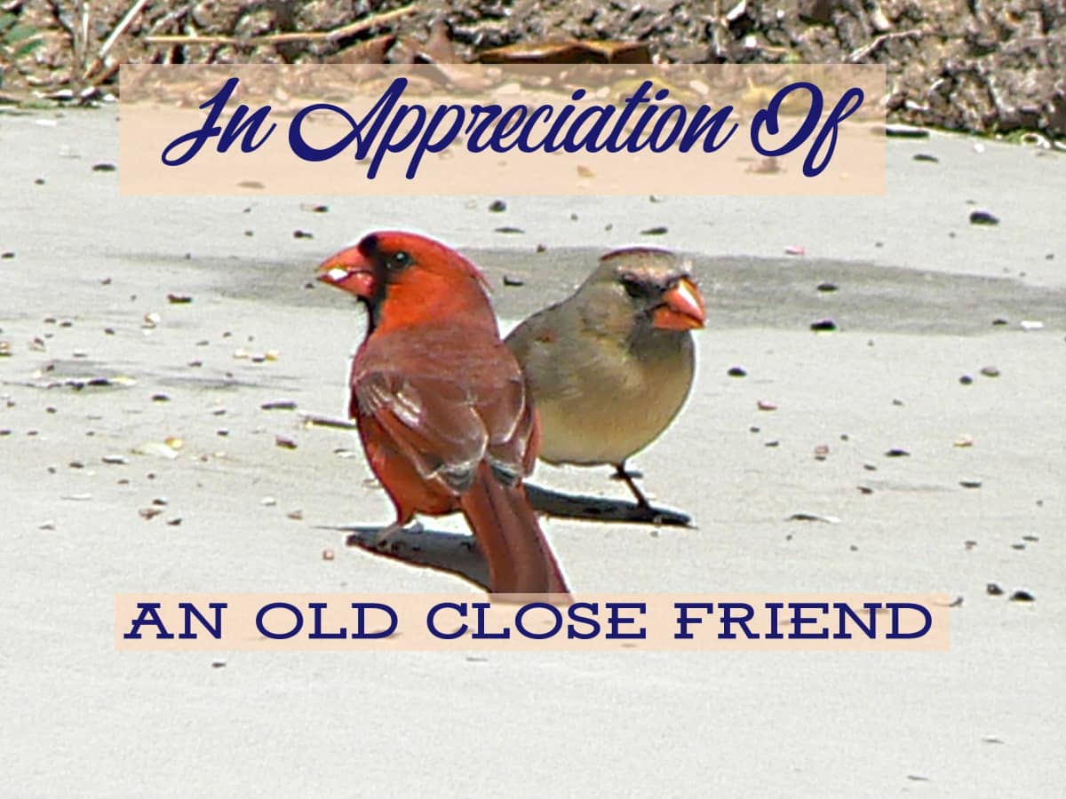 Poem: The Pleasure and Joy of an Old Friendship - LetterPile