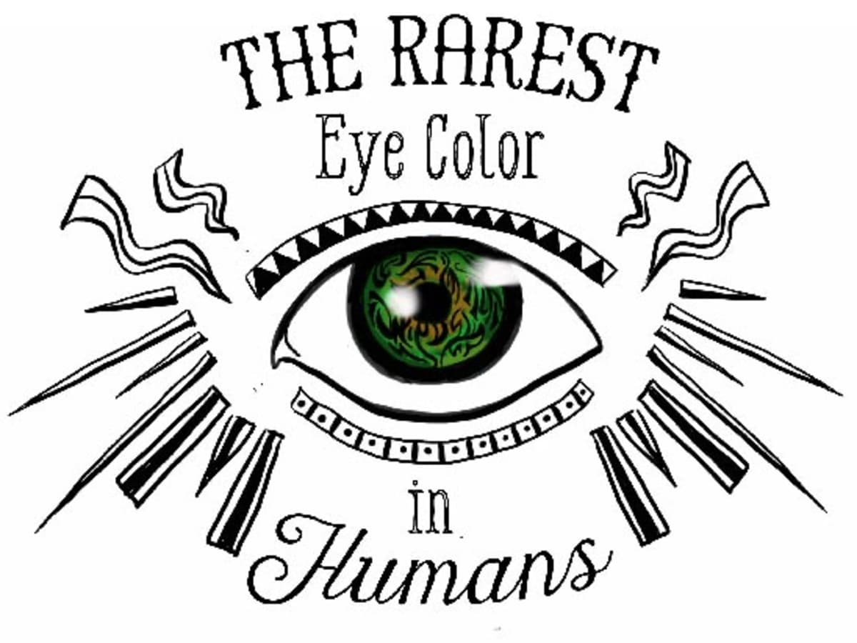Rarest Eye Color in Humans   Owlcation