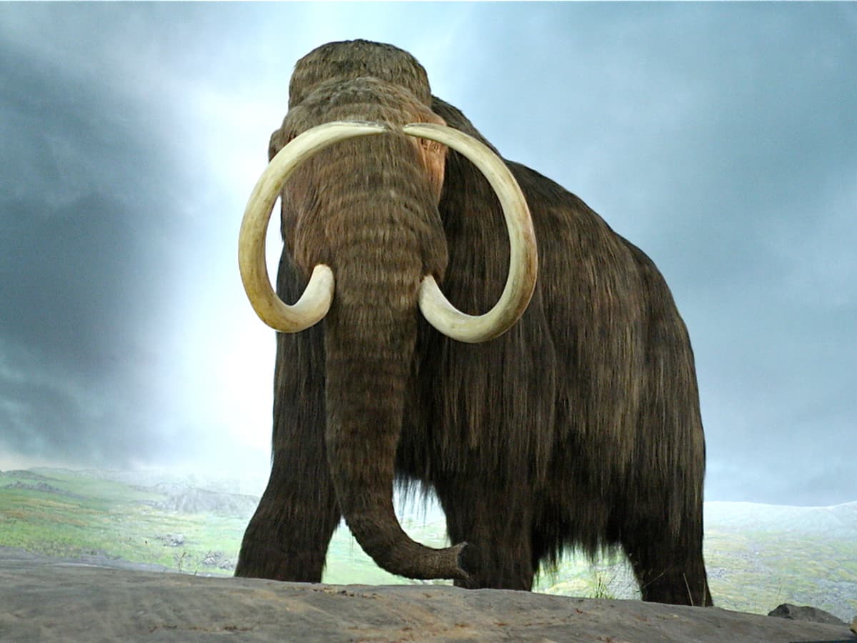 De-extinction or Recreating Extinct Animals: Facts and Concerns - Owlcation