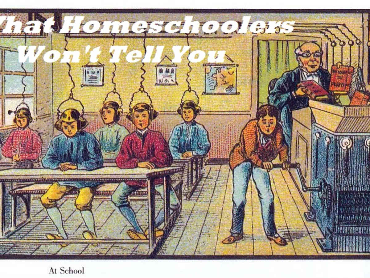 Seven Things Homeschoolers Won't Tell You - WeHaveKids