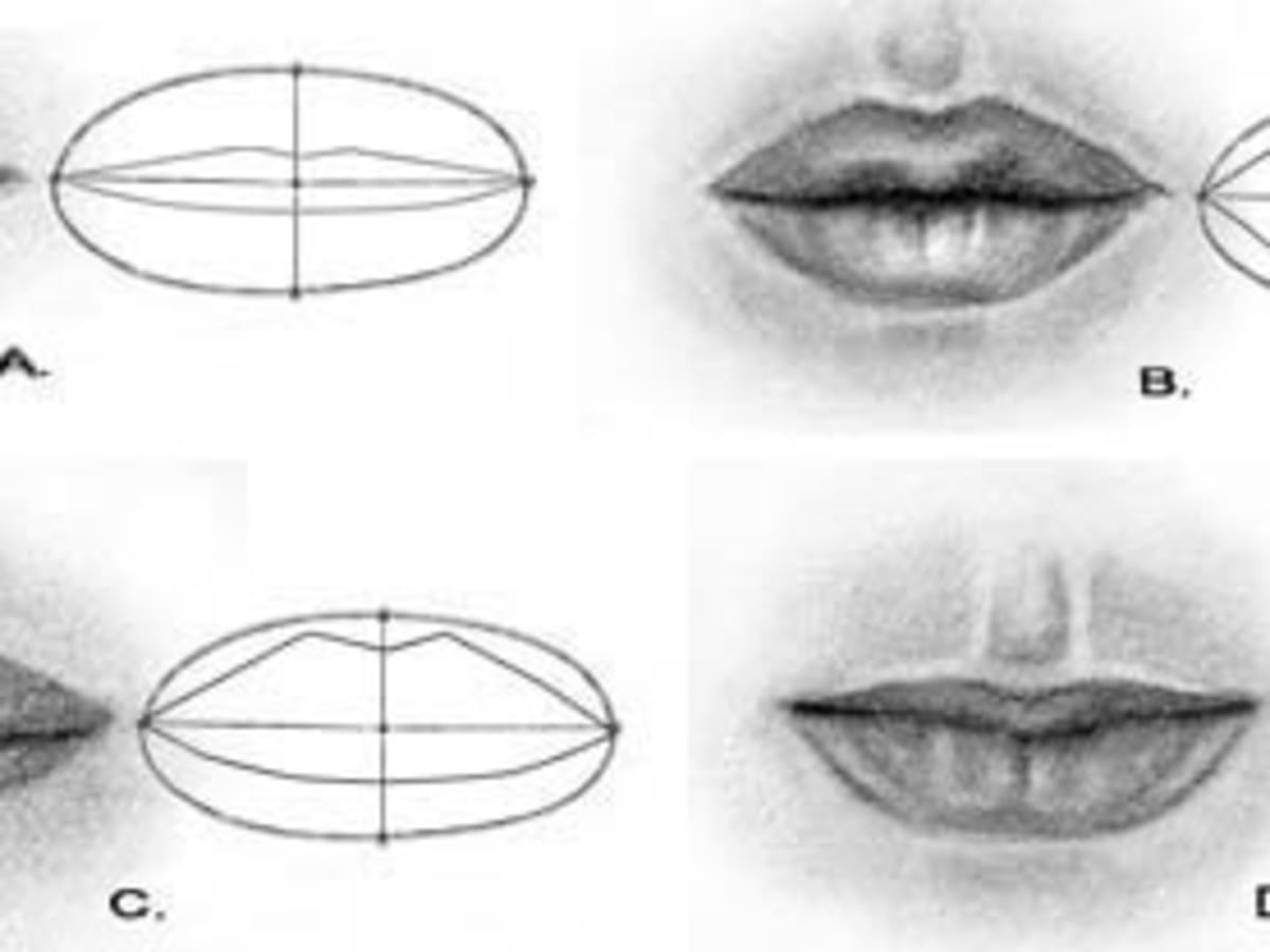How To Draw A Mouth In Pencil The Ultimate Tutorial