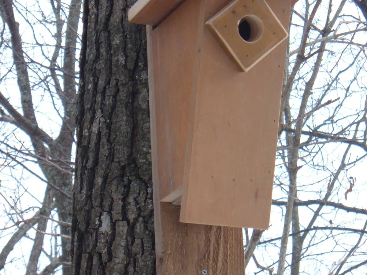 How To Build A Peterson Slant Front Style Bluebird House Feltmagnet