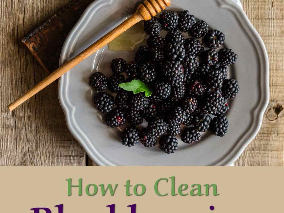 How To Wash And Clean Blackberries After Picking Delishably