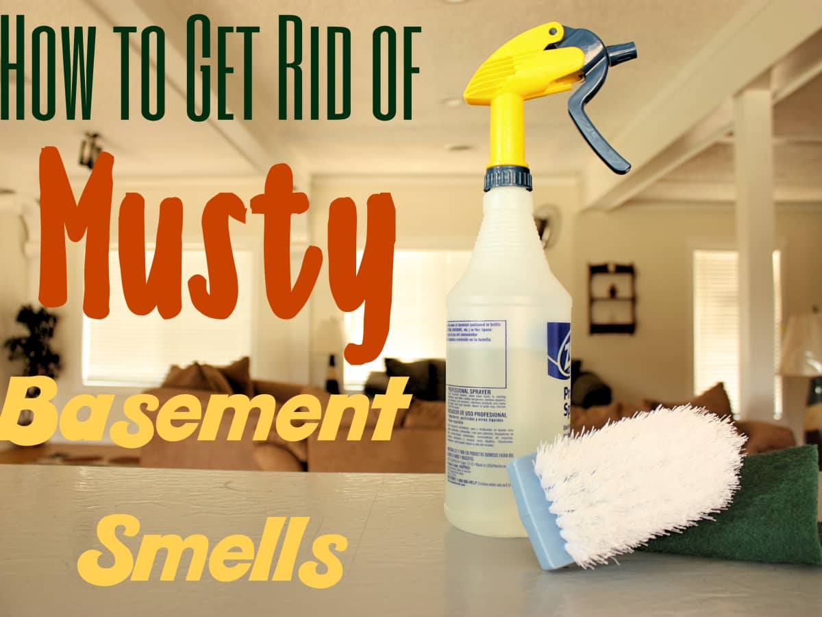 How to Get Rid of Musty Basement Smells (Plus Prevention Tips) - Dengarden