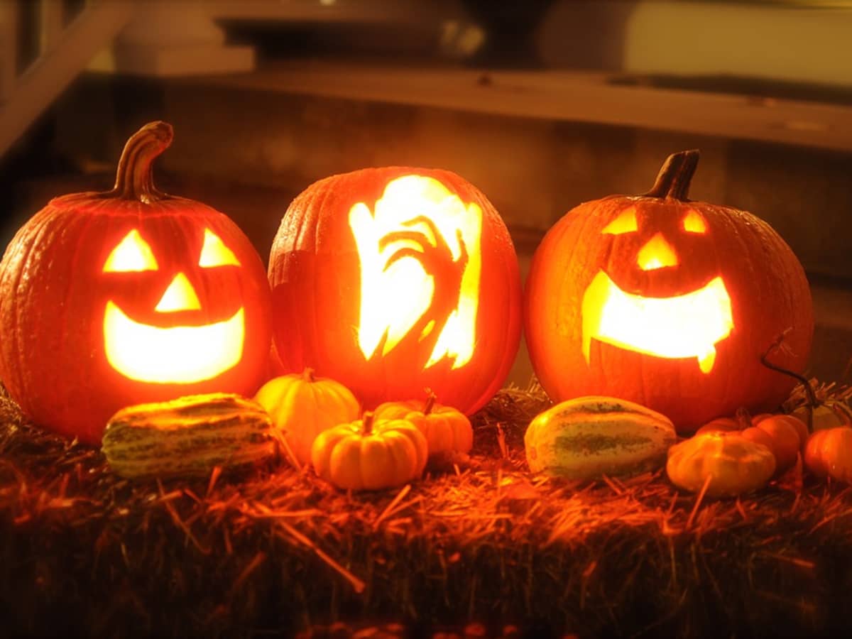 Selecting the Right Pumpkin Varieties for Jack-O'-Lanterns