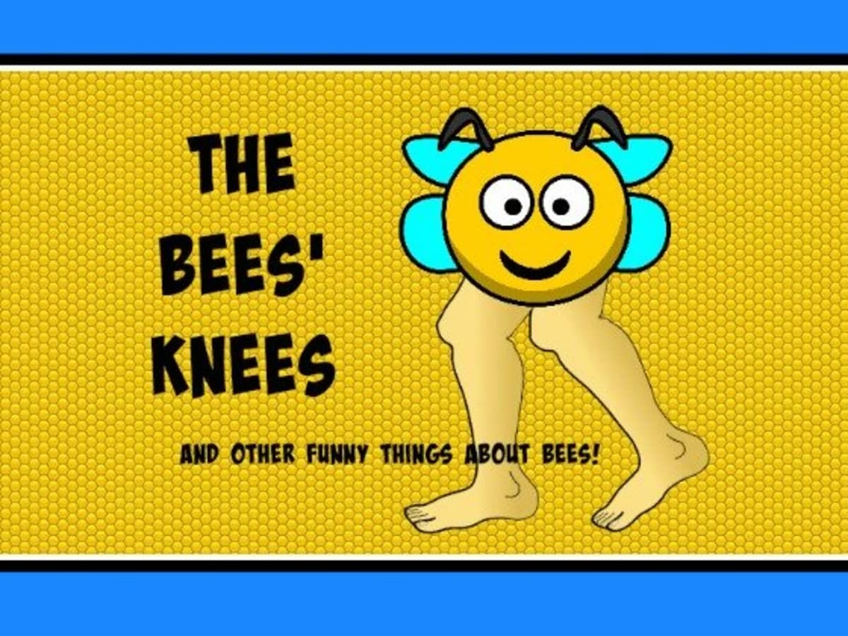 The Bees' Knees: Idioms, Jokes, and Other Funny Things About Bees -  LetterPile
